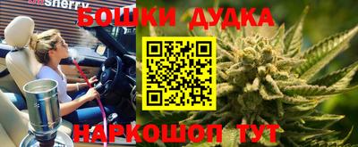 гидра Лесосибирск