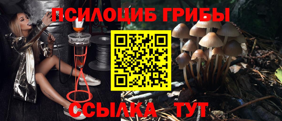 Галлюциногенные грибы GOLDEN TEACHER Фурманов